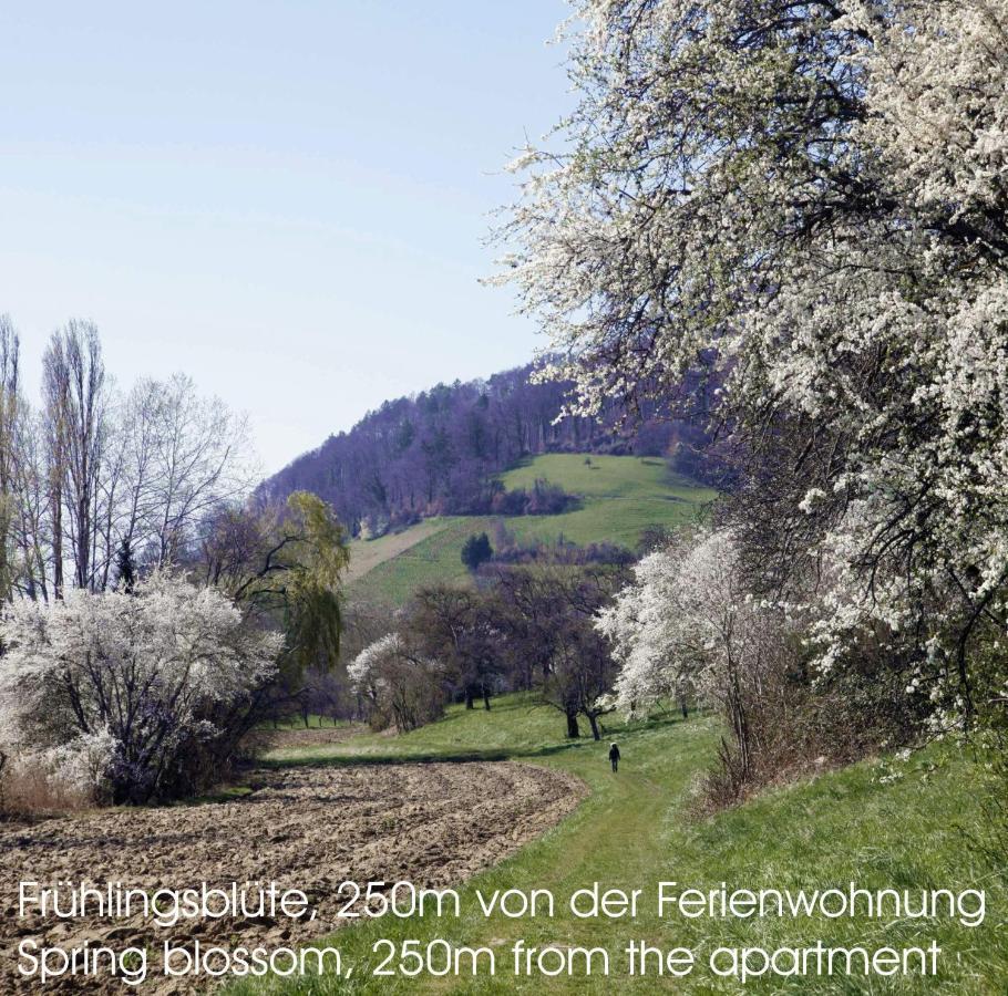 Passivhaus 750M Vom Bodensee -- 2X E-Bike Inklusive -- Neubau 2019 Am Ortsrand Ohningen Exterior foto